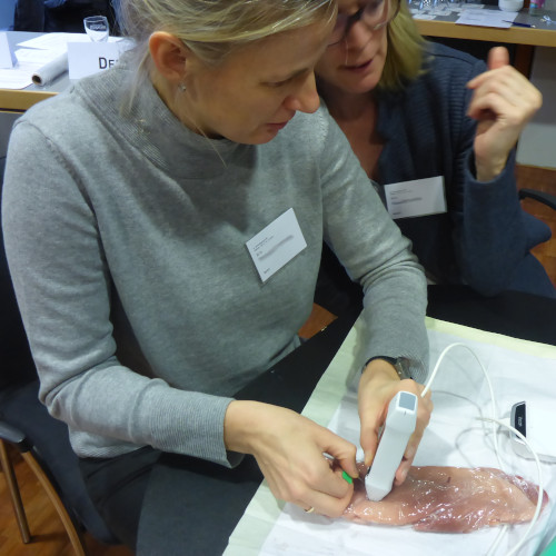 Hand-Auge Koordination